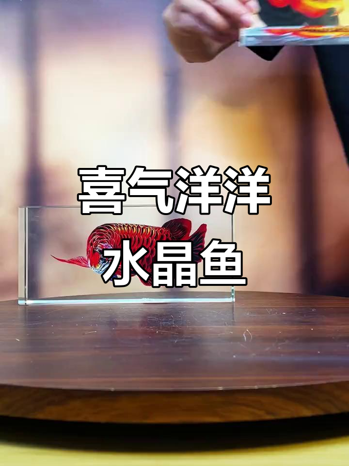 新年必备好运鱼摆件，招财进宝寓意满满