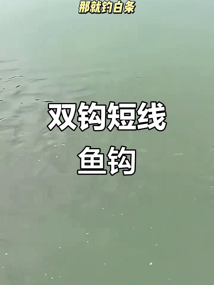 精致短线鱼钩,金袖双钩设计,野钓必备