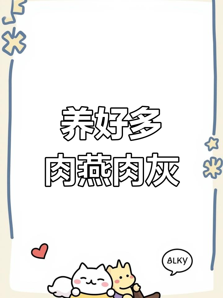 燕肉灰养护全攻略:从土壤到光照,轻松掌握多肉生长技巧