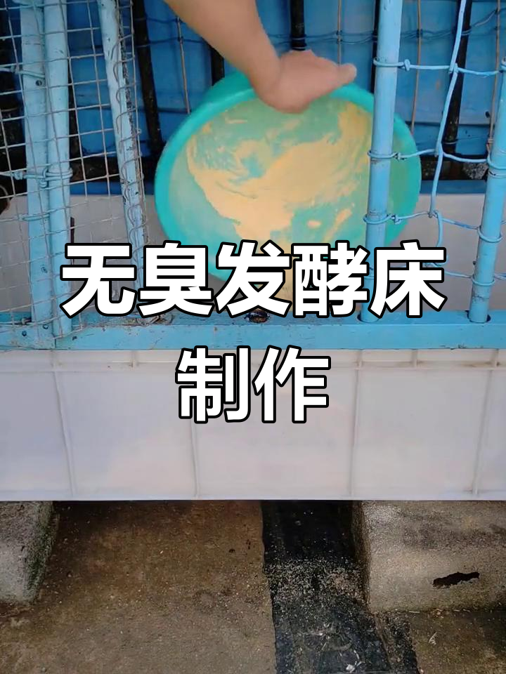 楼顶阳台发酵床养鸡,轻松无臭