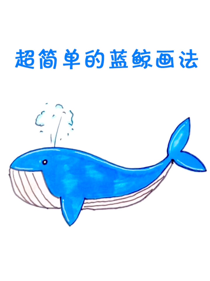 鲸鱼的简单画法