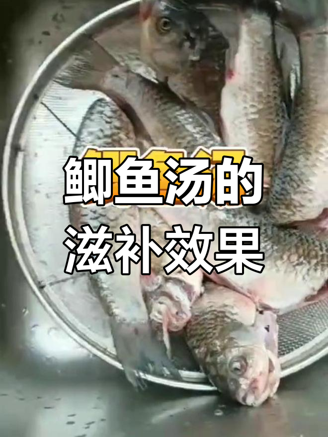 鲫鱼汤的营养功效与作用