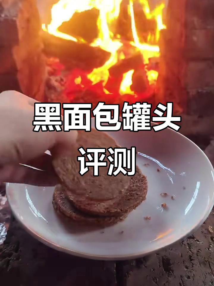 黑面包罐头测评:末日方舟里的“高性价比”食物