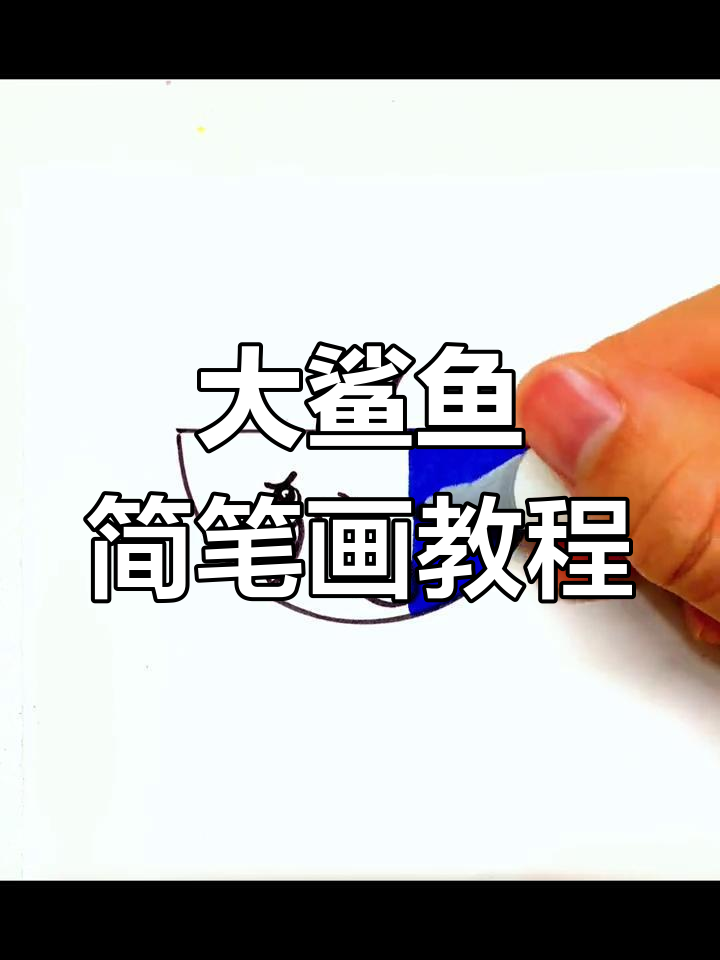 轻松学画大鲨鱼简笔画