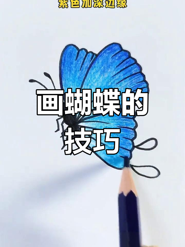 轻松画出美丽蝴蝶,简单步骤教程
