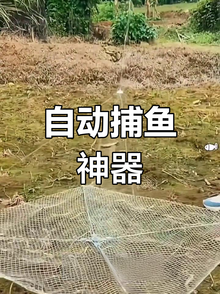 新型捕鱼网,四面进鱼自动收
