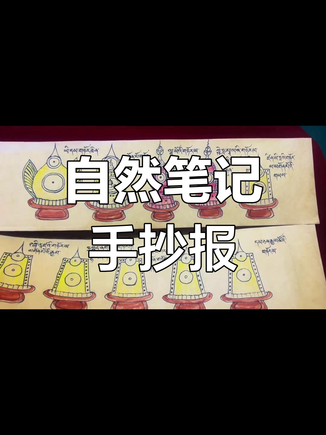 自然笔记手抄报:探索大自然的奥秘与美丽