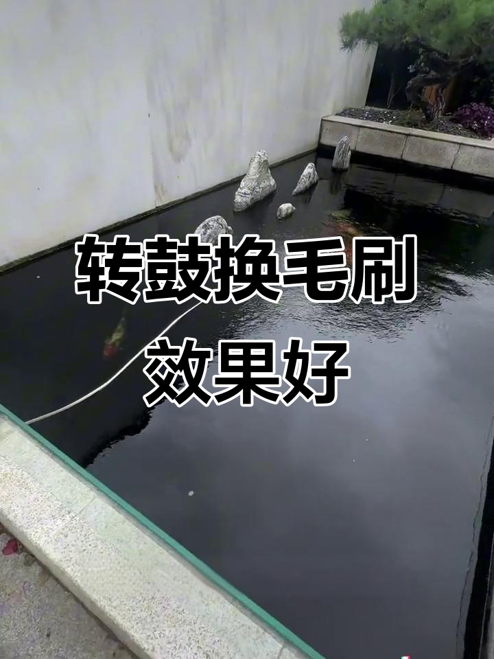 锦鲤鱼池过滤系统升级:转鼓故障率高,毛刷替代效果如何?