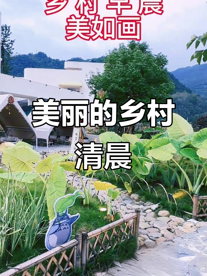 乡村早晨的美丽景色,让人心旷神怡