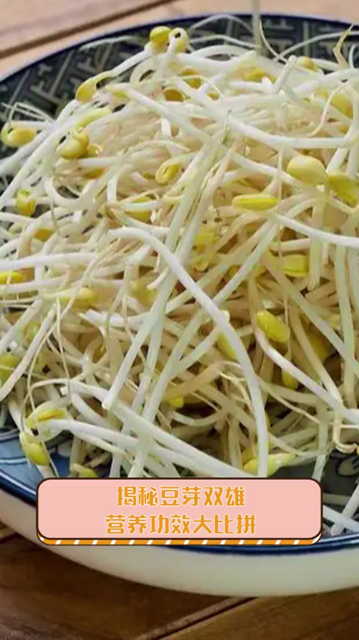 揭秘豆芽双雄,营养功效大比拼