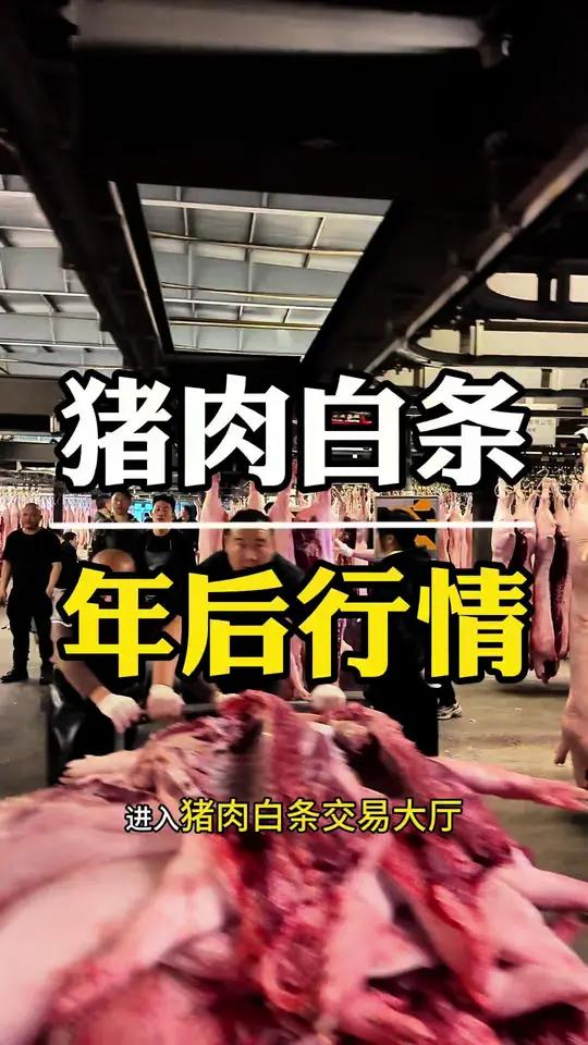 探秘成都最大的猪肉批发市场,2026大年过后猪肉白条批发的行情