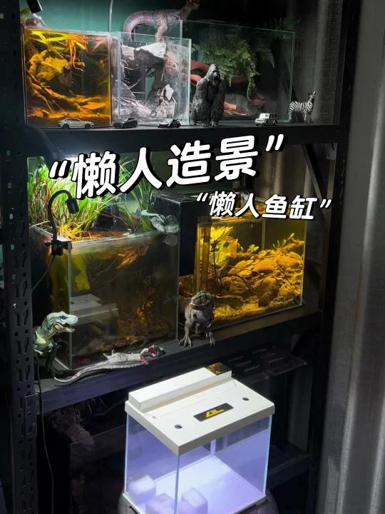 “懒人鱼缸”+“懒人造景”