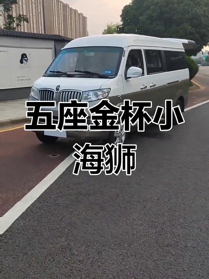 18年五座金杯小海狮X30L,配置高、车况良好