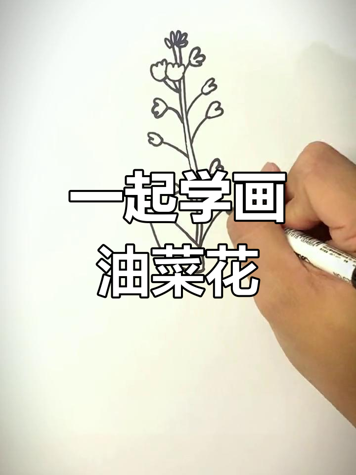 轻松学画油菜花,小朋友也能掌握