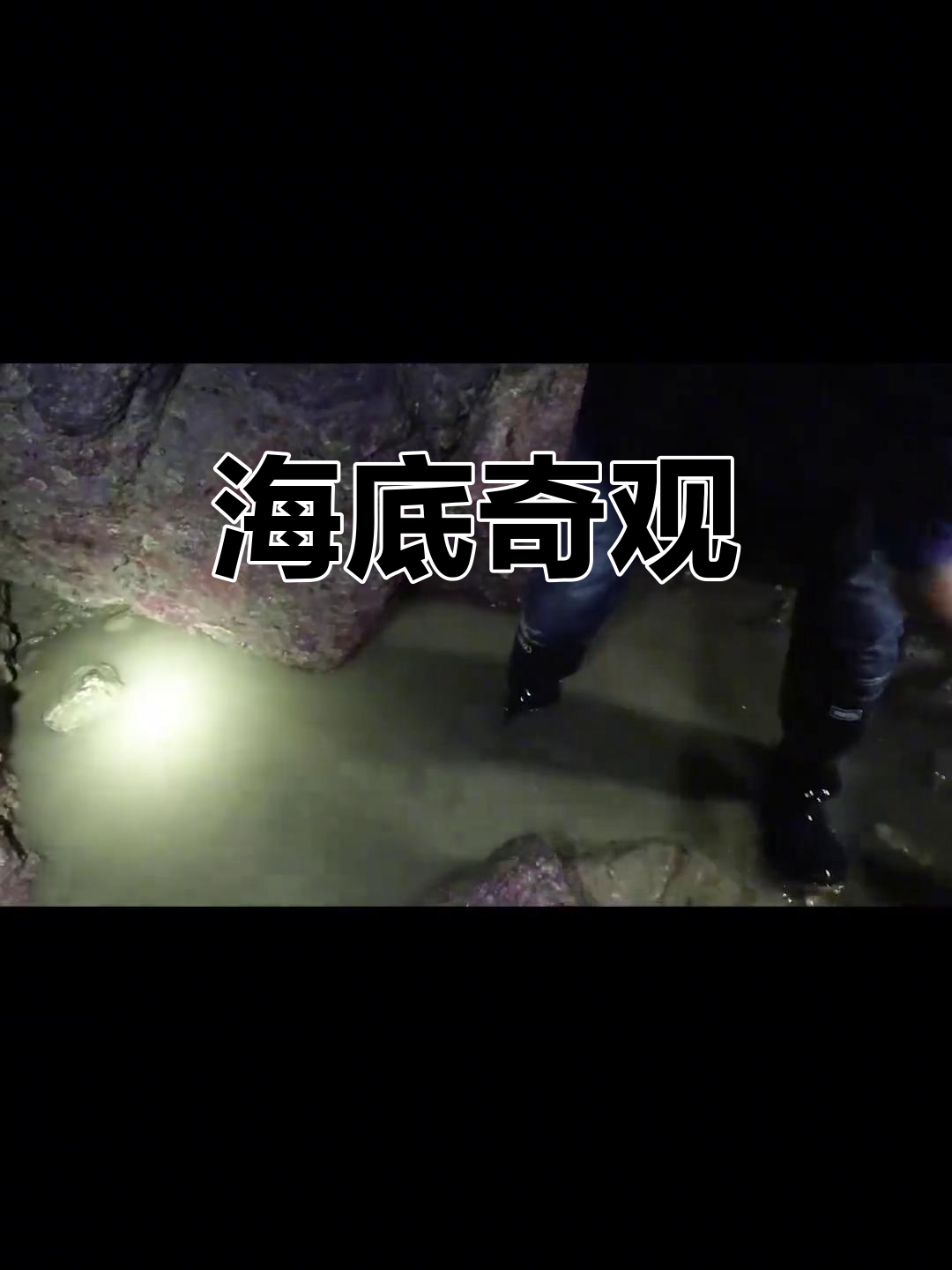 海鲜聚集,牛尾鱼刺惊人!