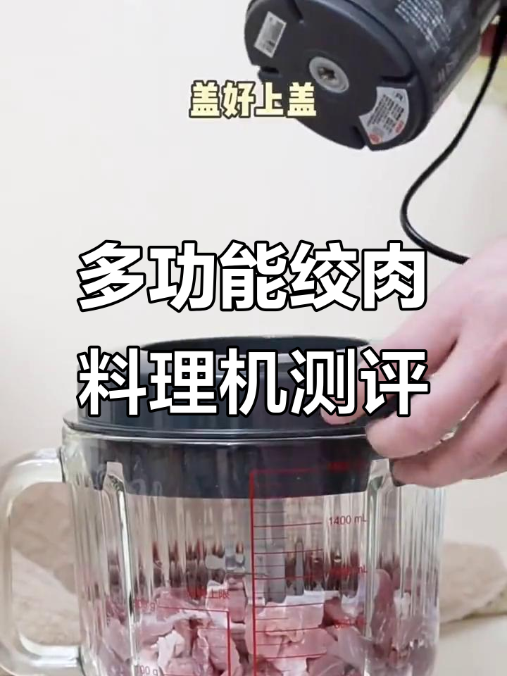 多功能绞肉料理机测评