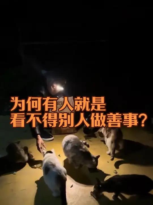 为何有些人就是看不得别人做善事,那是因为它们根本不相信这世上真的还有好心人!它们的世界充满