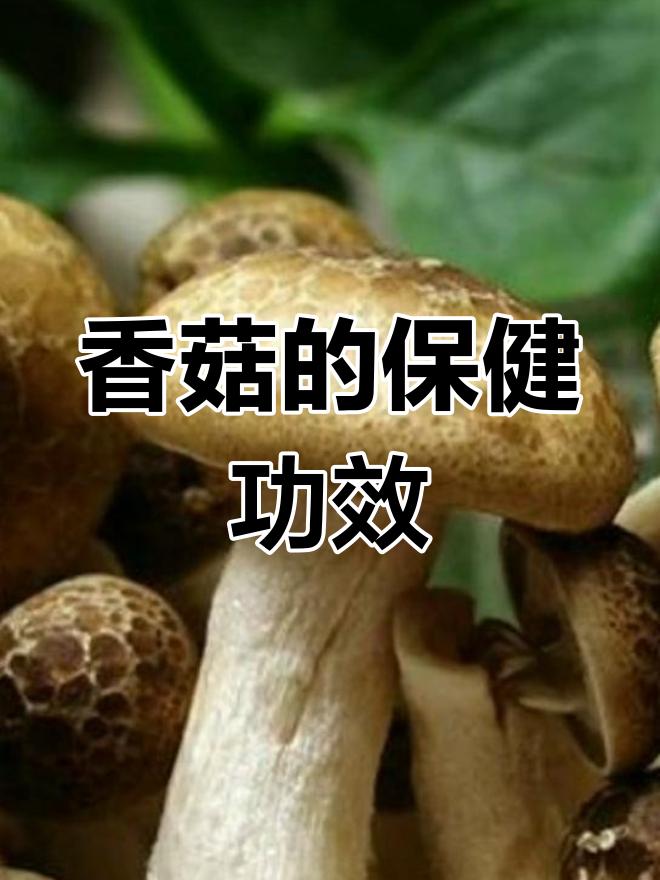 香菇的营养价值与抗癌作用