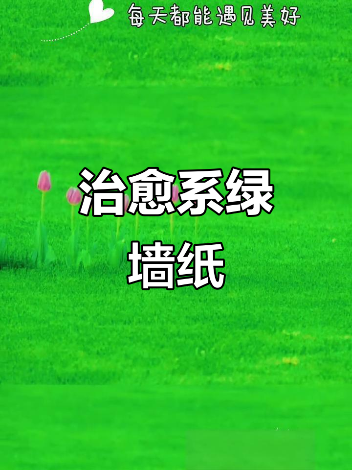 绿色护眼壁纸,让眼睛放松心情更舒畅