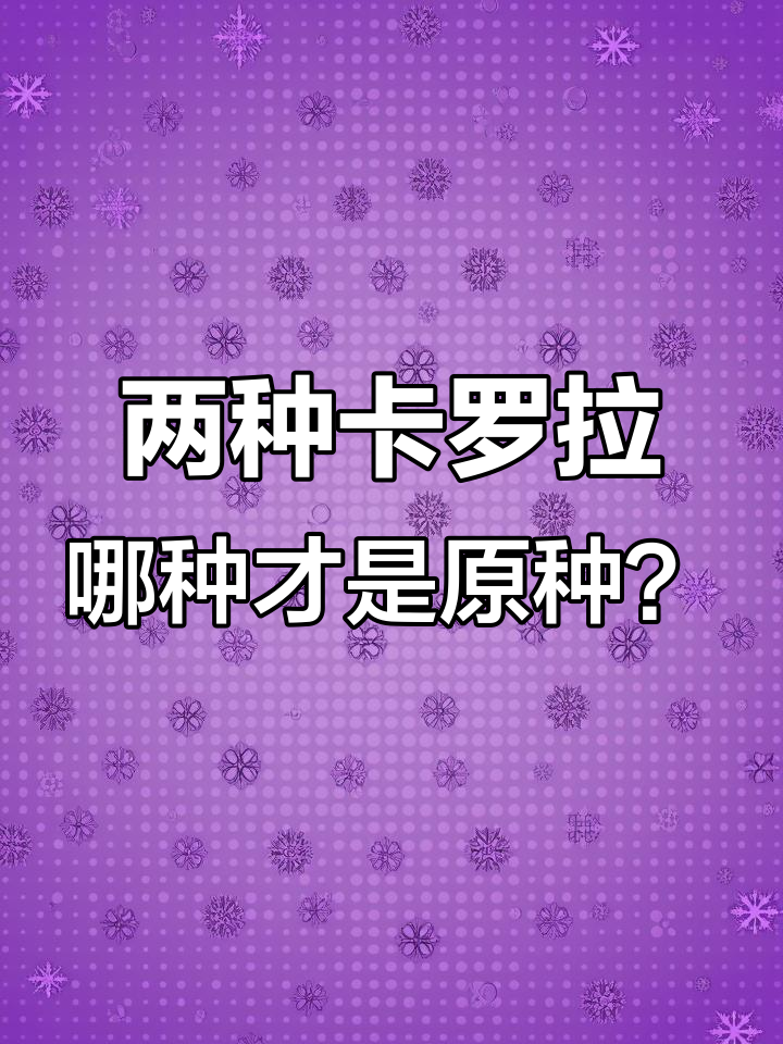 卡罗拉多肉到底有几种?原始卡罗拉究竟是哪一种?