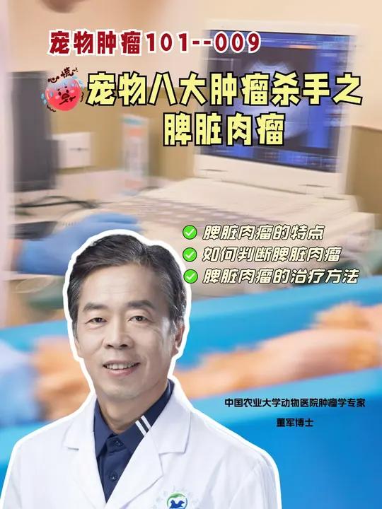 宠物脾脏肉瘤是不可忽视的隐形杀手!脾脏肉瘤是一种悄悄侵袭宠物健康的恶性肿瘤,早期症状,肚子