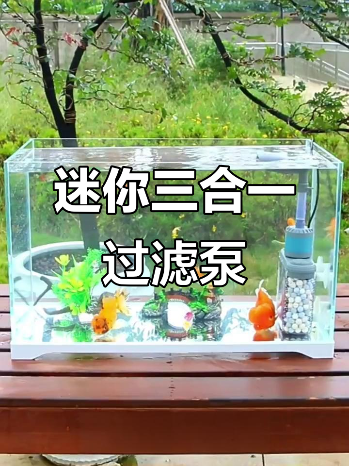 小型三合一鱼缸过滤器,循环水泵内置制氧功能