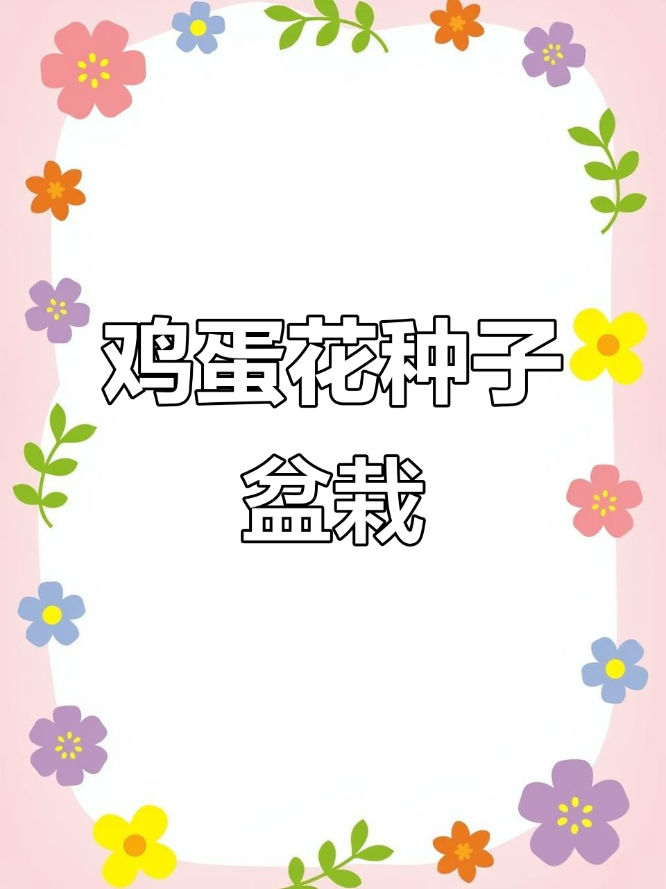 鸡蛋花种子盆栽,轻松打造美丽家居