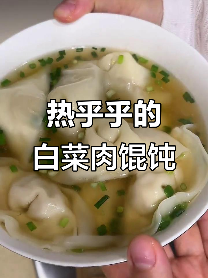 白菜猪肉馄饨,鲜嫩多汁,热气腾腾的完美搭配
