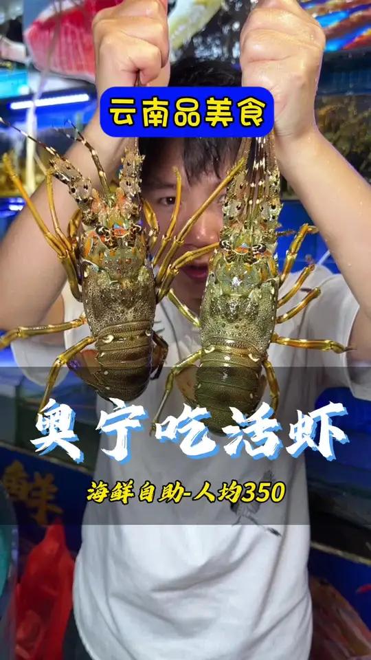 奥宁海鲜自助上新套餐了-鲜活大龙虾随便吃