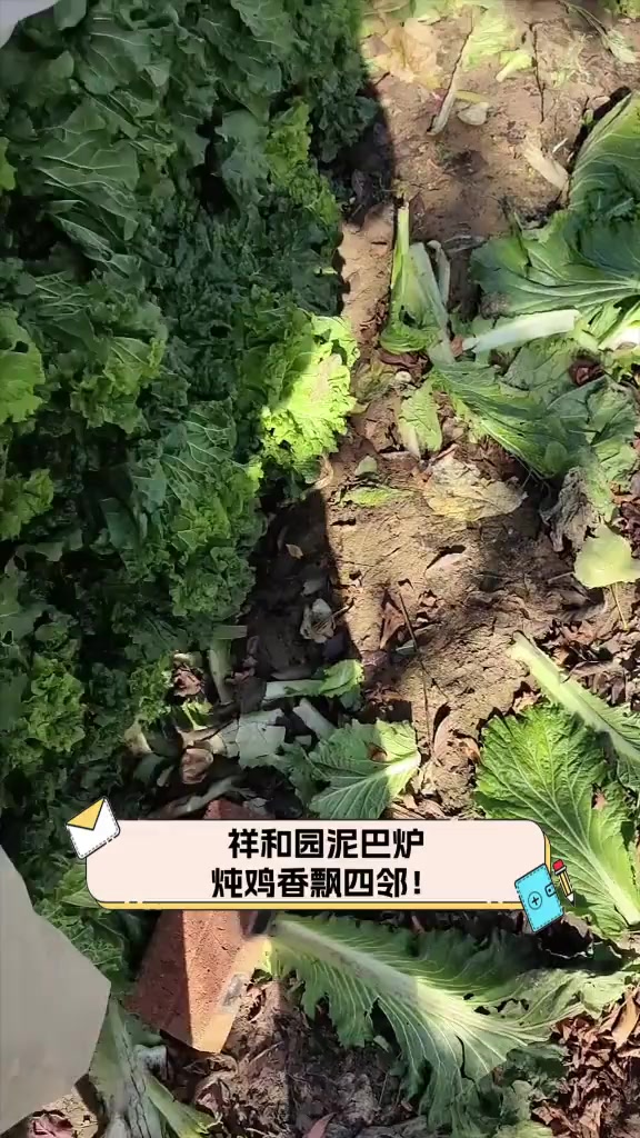 祥和园泥巴炉,炖鸡香飘四邻!