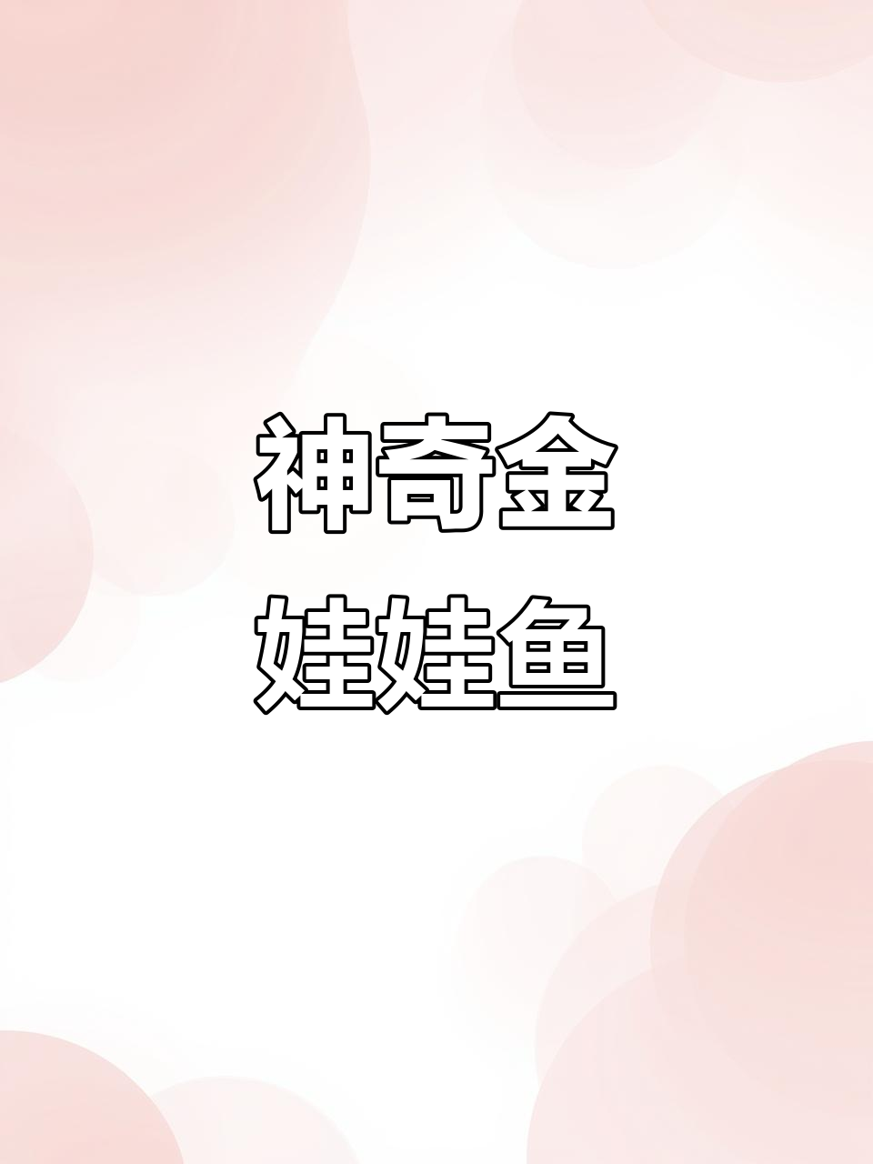 金娃娃热带淡水鱼:河豚的独特饲养技巧