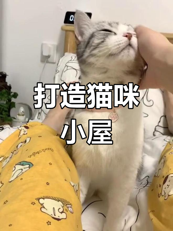 泡芙的小卧室装修大揭秘