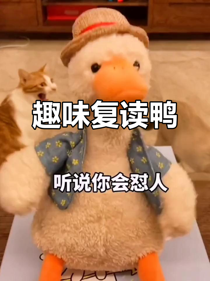 这款复读鸭玩具,能学说话还能怼人,超有趣!