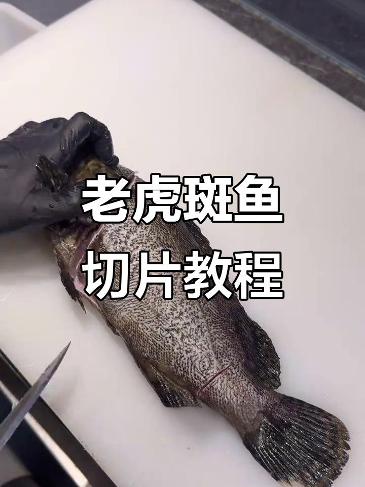 老虎斑鱼片技巧大揭秘,轻松去滑切出完美鱼肉