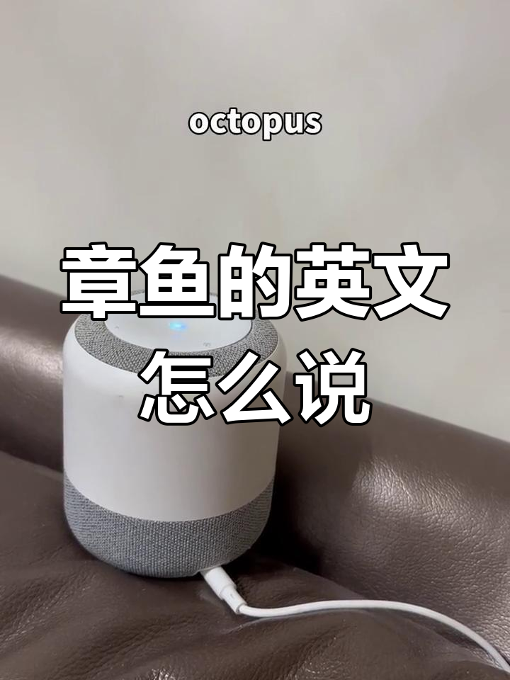 英语例句巧妙表达章鱼