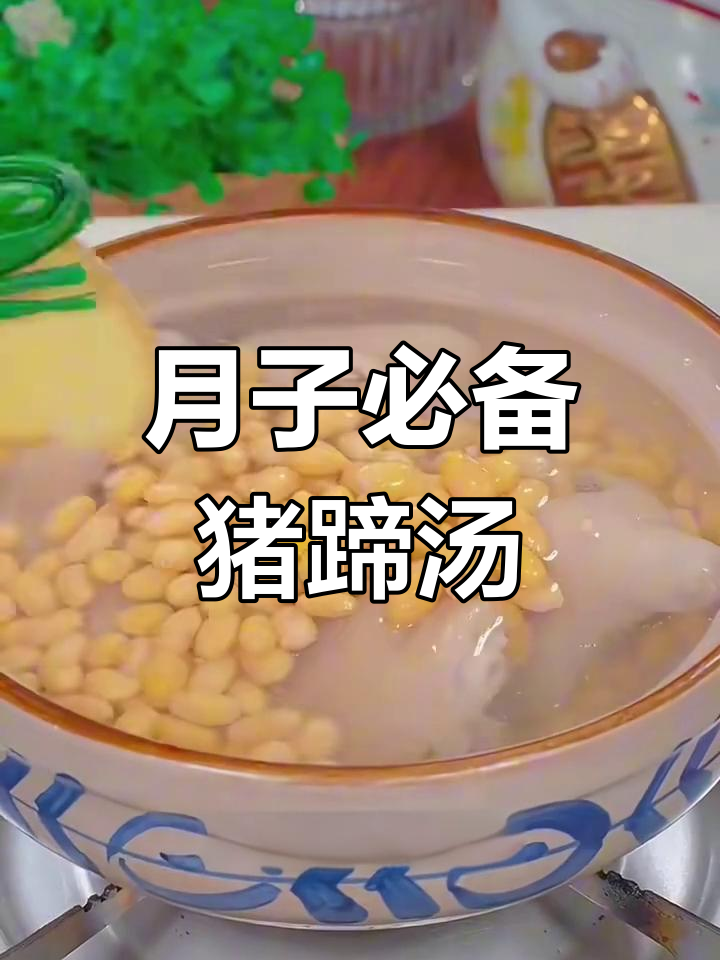 坐月子必吃猪蹄黄豆汤,营养满分又美味