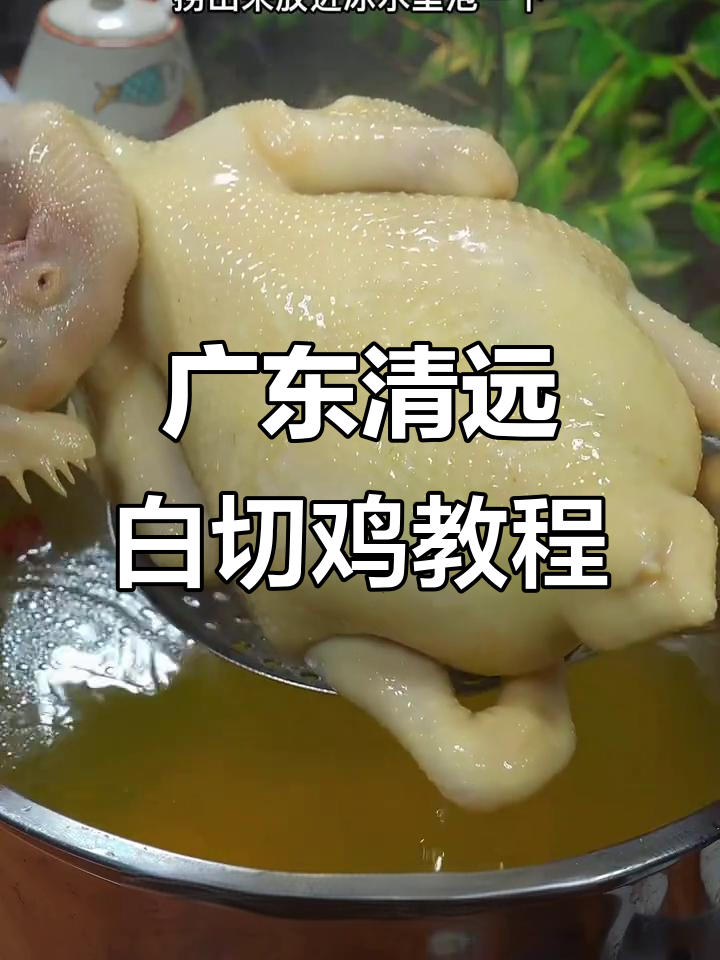 清远白切鸡做法大揭秘,鲜嫩多汁的秘诀全在这!