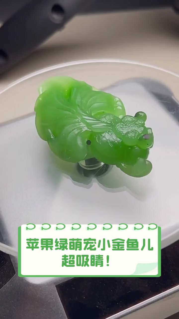 苹果绿萌宠小金鱼儿,超吸睛!