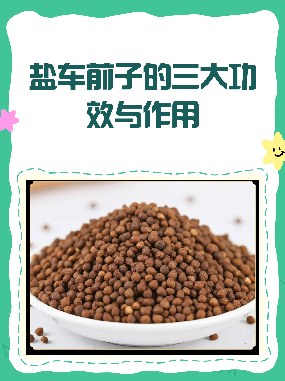 盐车前子:清热利尿又明目,但这些人慎用!