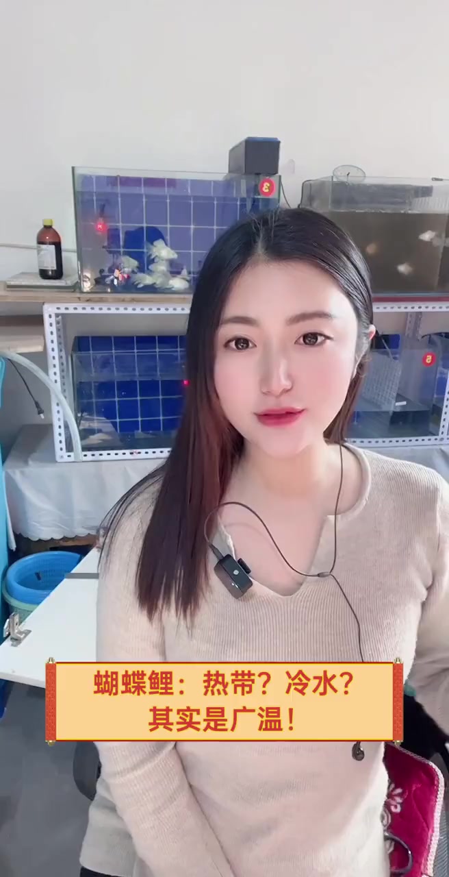 蝴蝶鲤:热带?冷水?其实是广温!