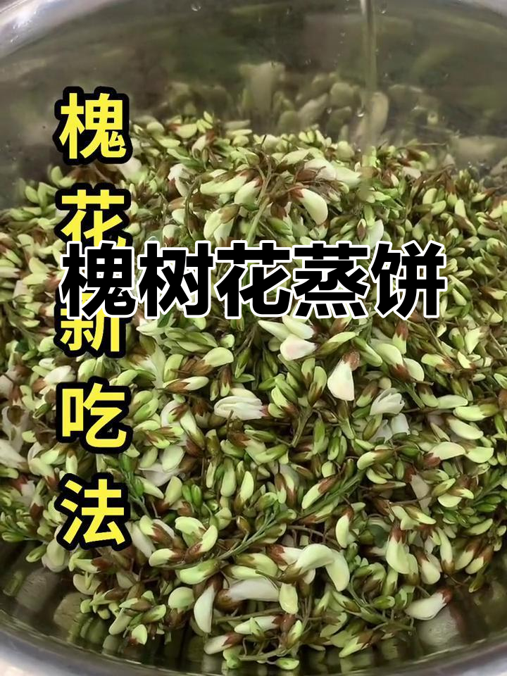 槐树花蒸饼新做法,简单又美味
