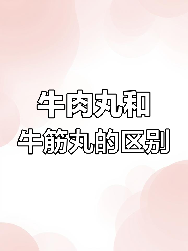 牛肉丸与牛筋丸的差异揭秘,从浆料到口感全解析