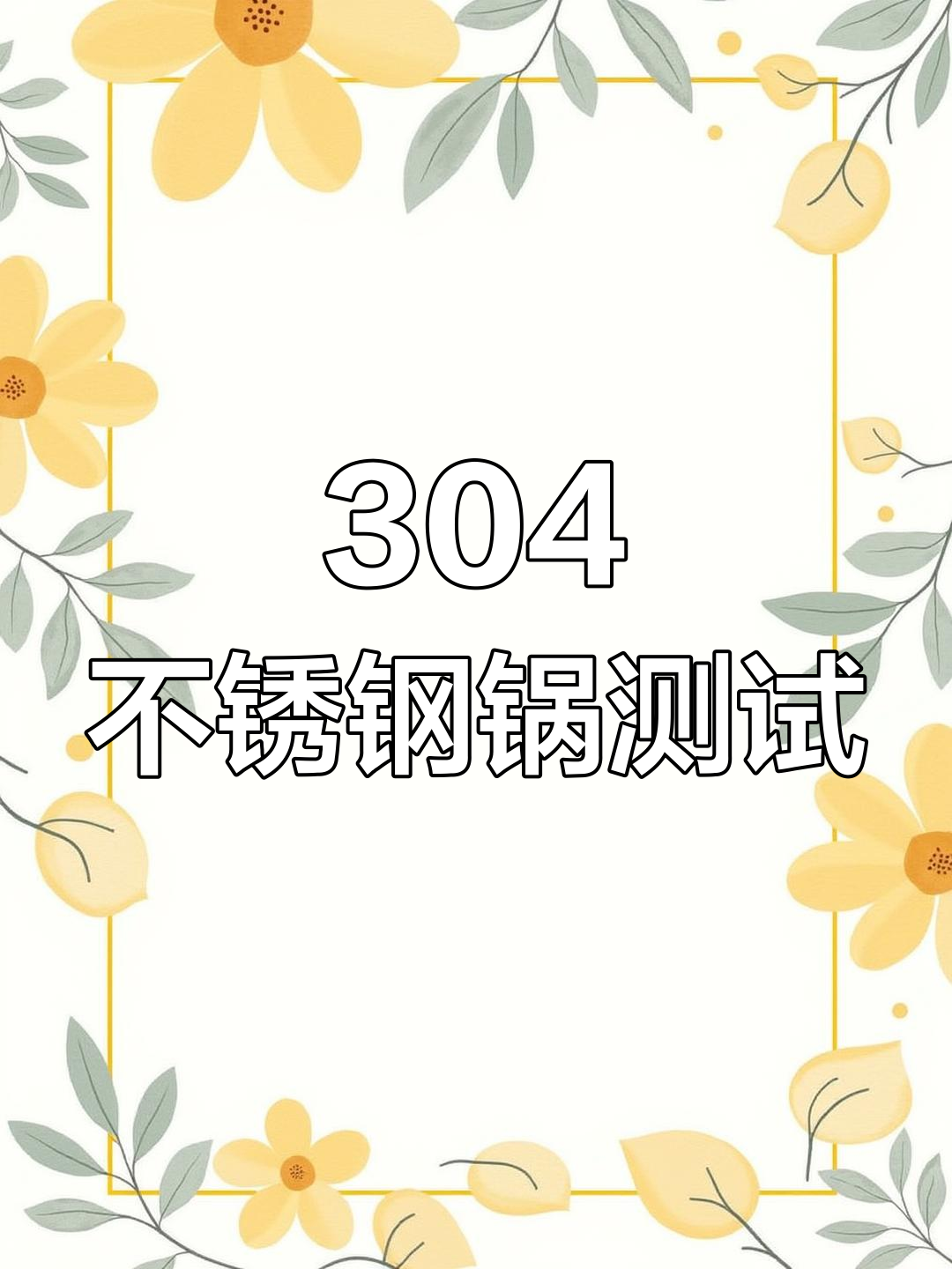 日本进口不锈钢锅,304材质安全检测