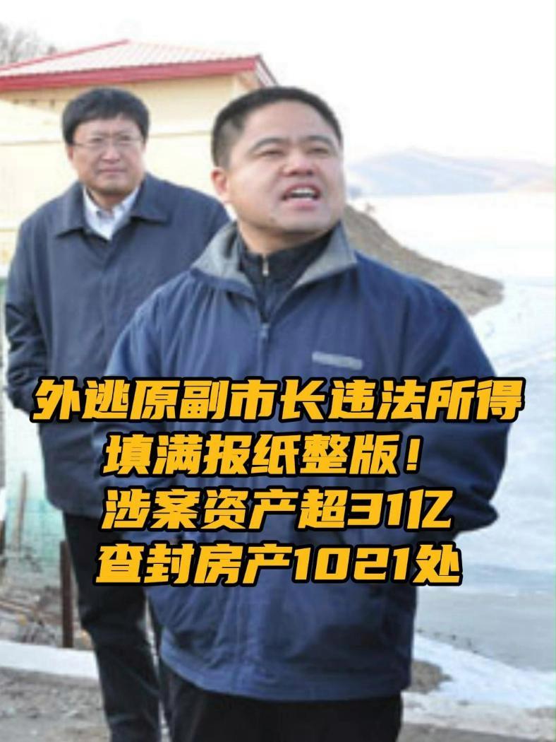 外逃原副市长违法所得填满报纸整版!涉案资产超31亿 涉贪腐被查、逃匿境外的鸡西市原副市长李