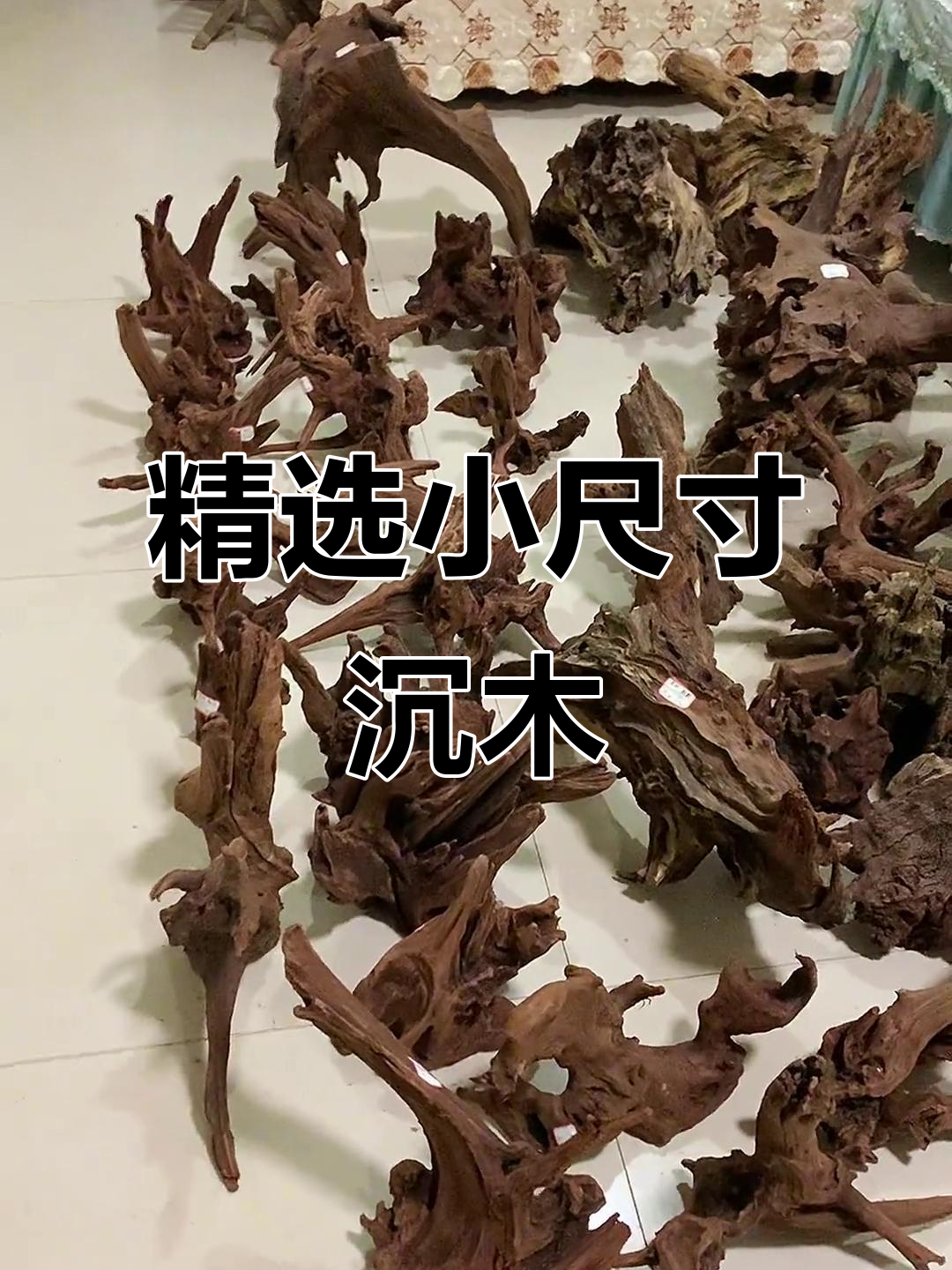 小尺寸沉木大放送,鱼缸造景必备
