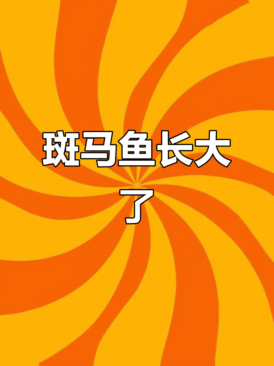 斑马鱼长到足够大，能看出蝶翼了吗？