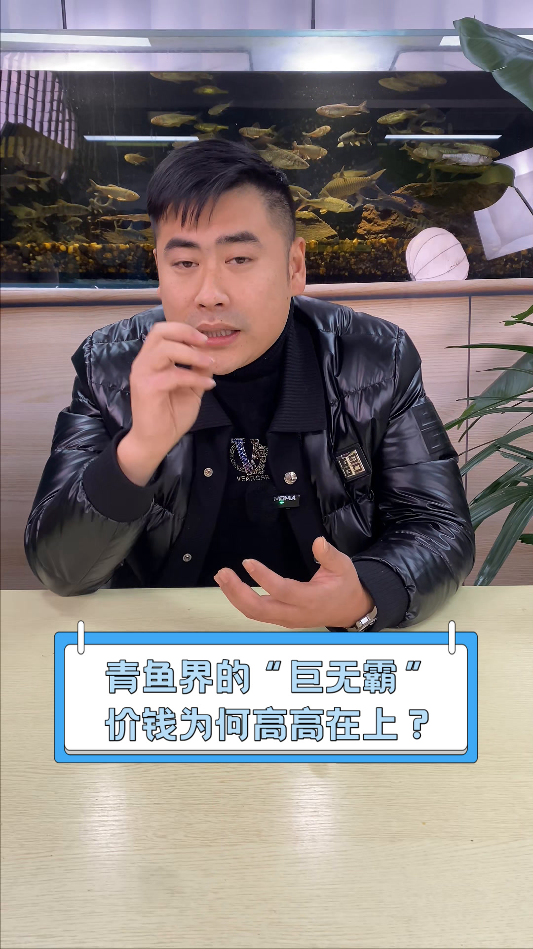 青鱼界的“巨无霸”,价钱为何高高在上?