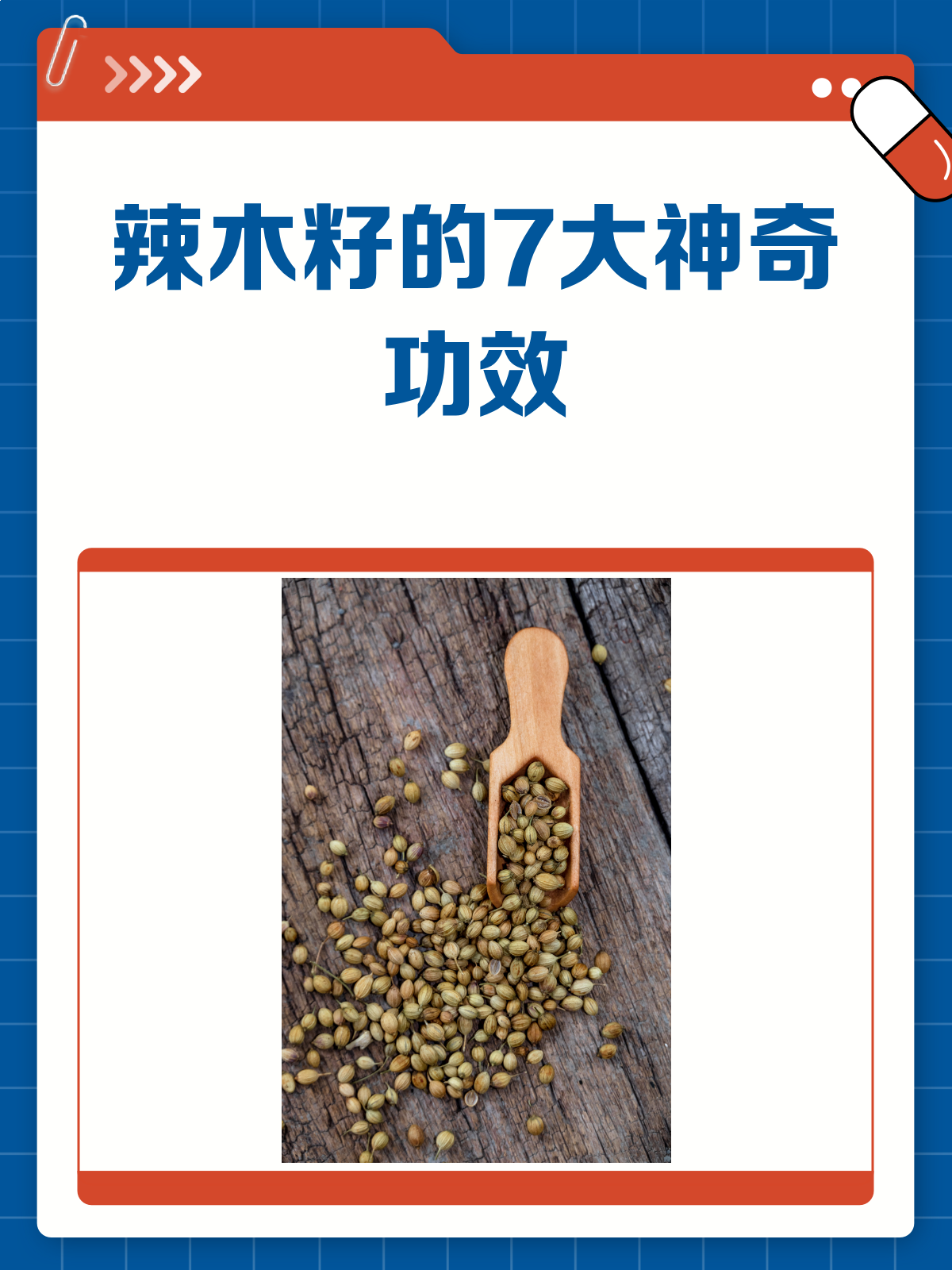 辣木籽居然这么神奇？揭秘它的7大功效！