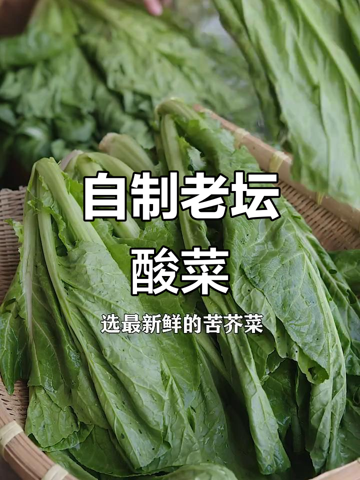 夏季开胃必备!老坛酸菜轻松做,拌饭拌面超下饭