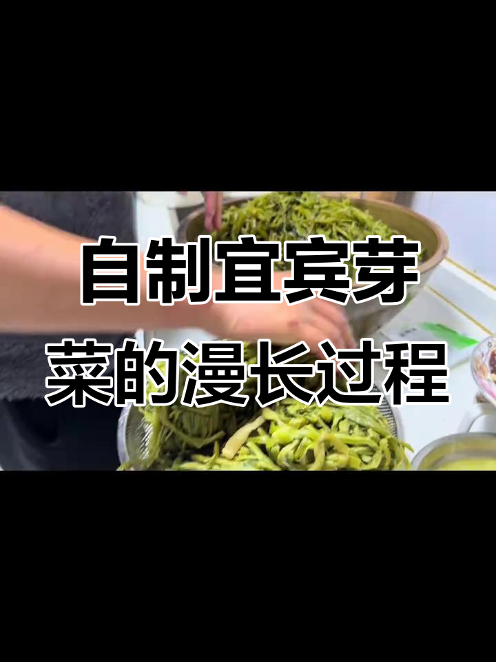 宜宾芽菜制作大揭秘:半年时间,手工切晒腌制全过程